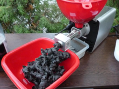 Presa ulei la rece extractie de ulei din seminte de negrilica